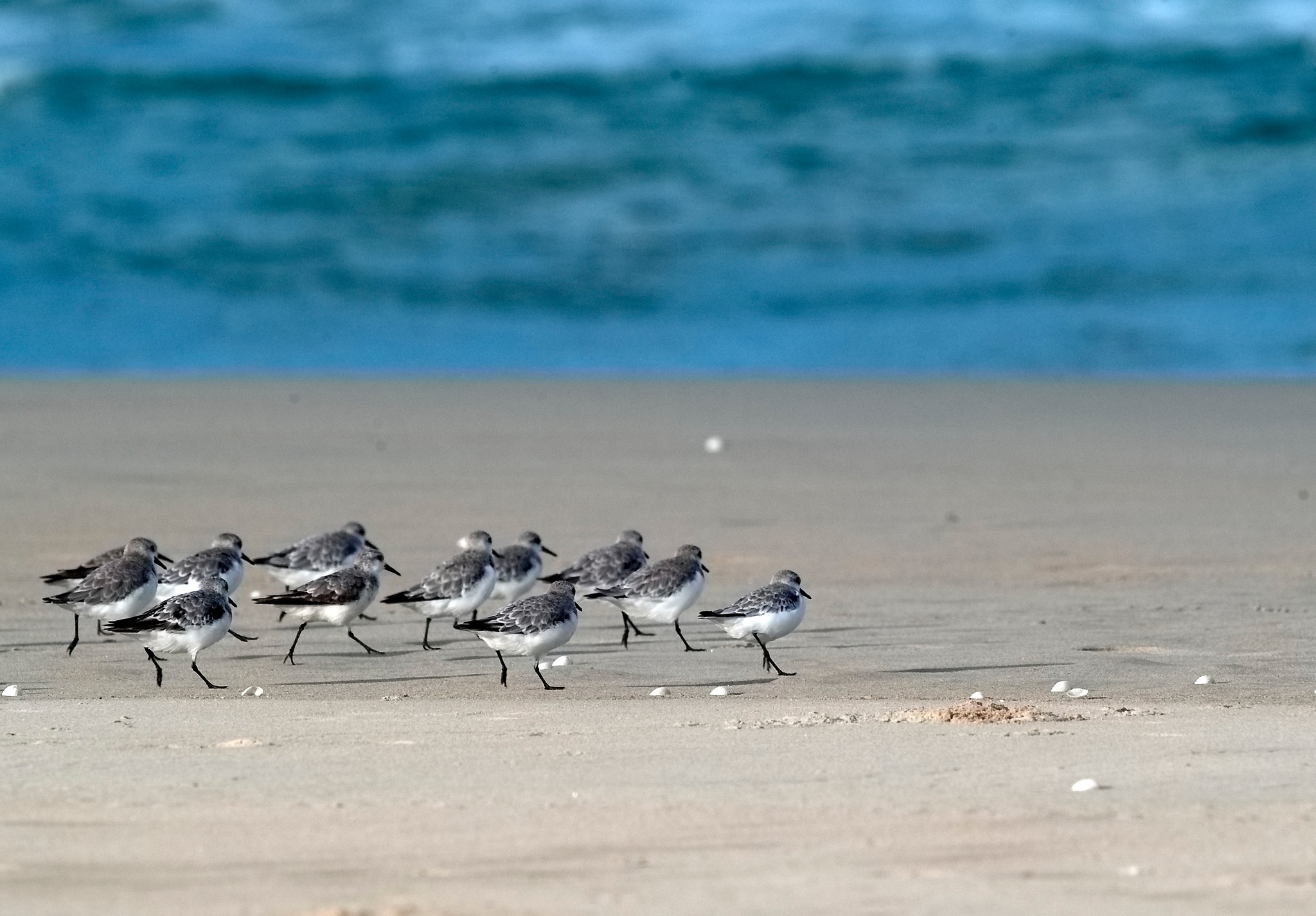 Hẹn ngoài vô tận (tản văn)